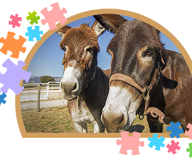 Celebración Cumpleaños Niños Madrid