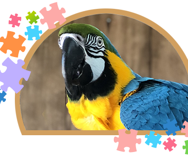 Celebración Cumpleaños Niños Madrid