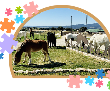 Celebración Cumpleaños Niños Madrid