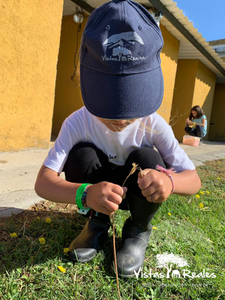 campamento sierra de madrid