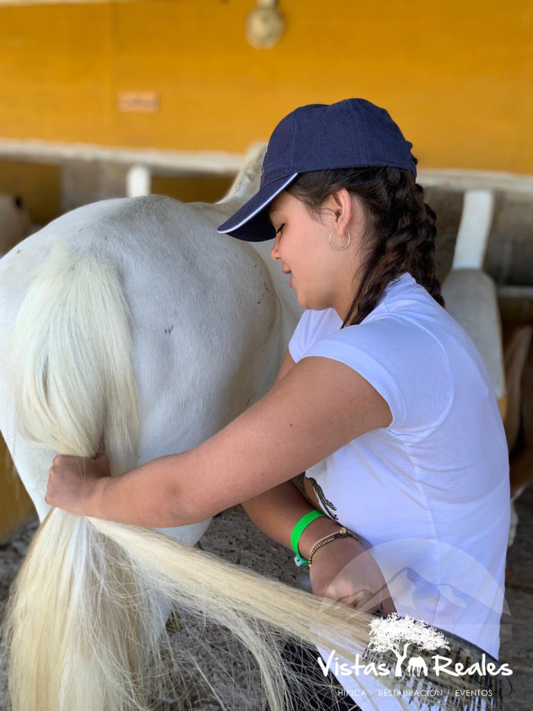 campamento sierra de madrid