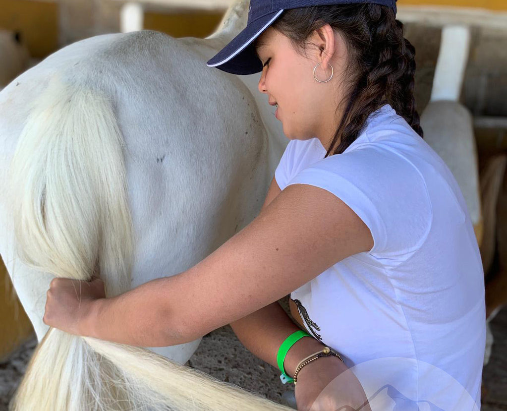 campamento sierra de madrid