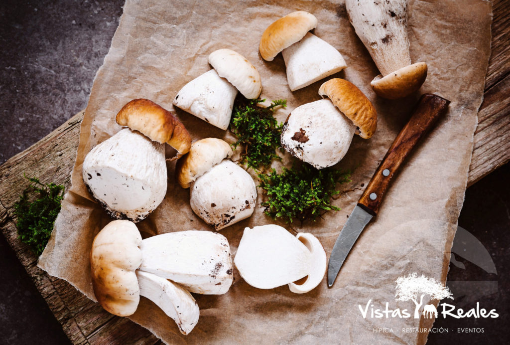 dónde comer los mejores Boletus de la sierra