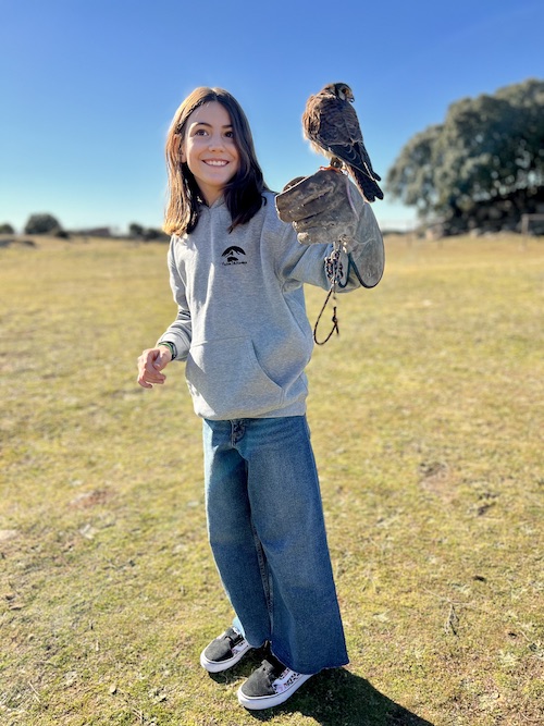 aves rapaces sierra madrid
