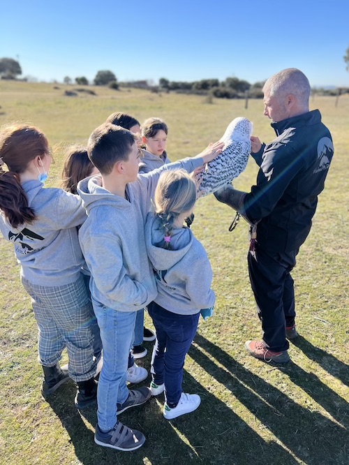 aves rapaces vistas reales