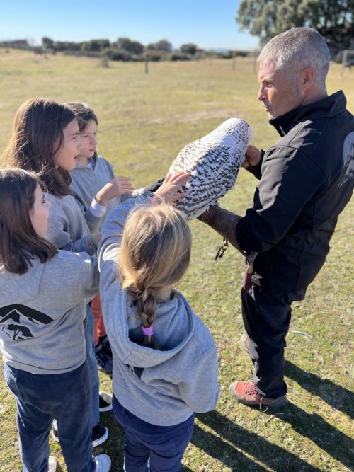 exhibicón aves rapaces niños