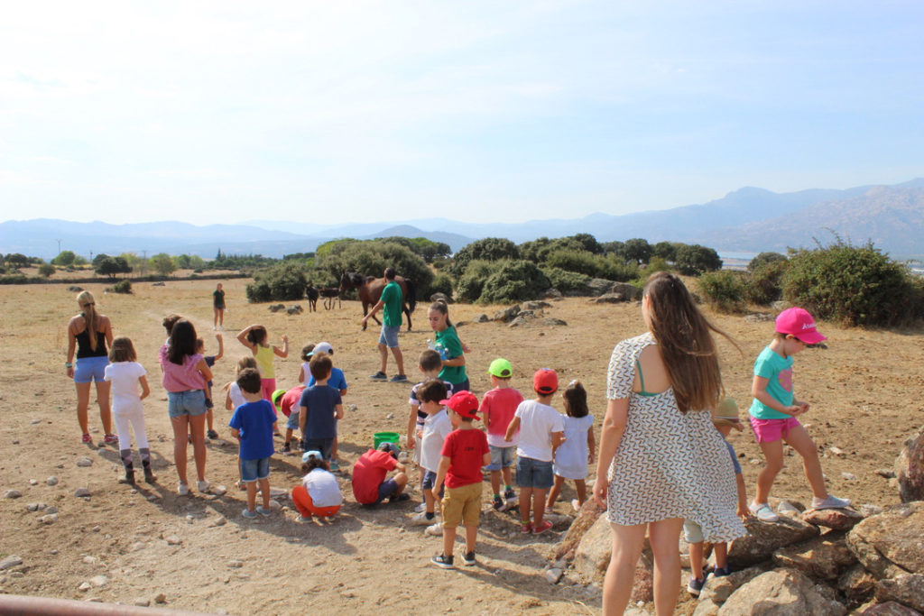 CAMPAMENTOS SIERRA MADRID