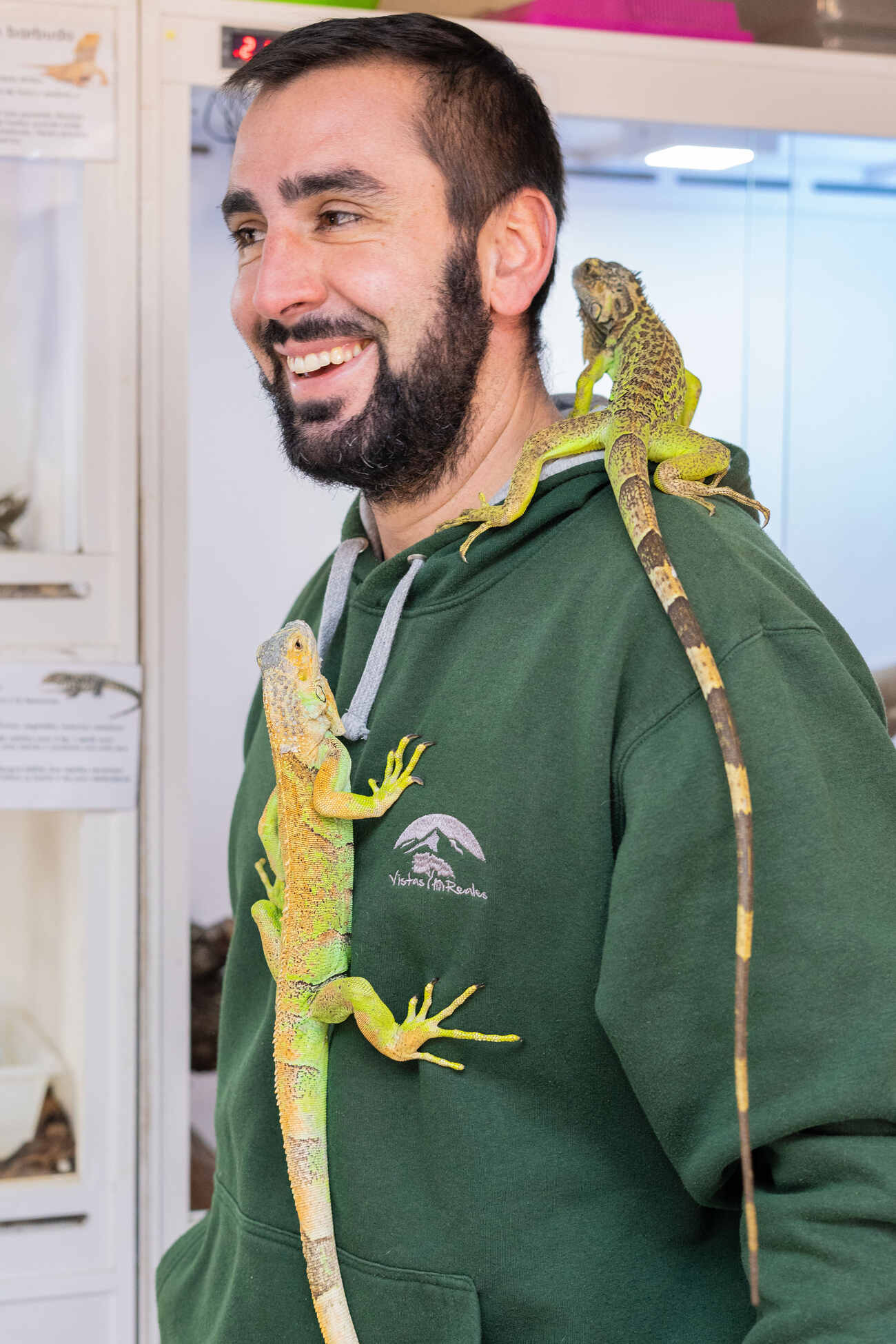 camapamento-semana-santa-madrid-01