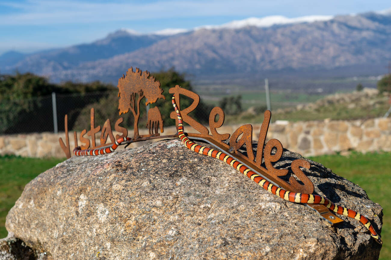 camapamento-semana-santa-madrid-06