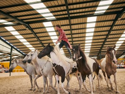 eventos sierra madrid