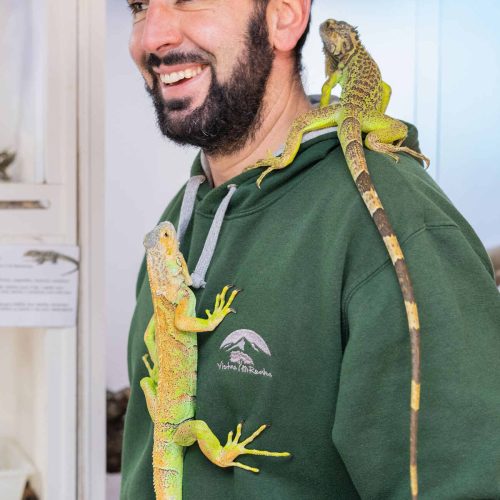 camapamento-semana-santa-madrid-01