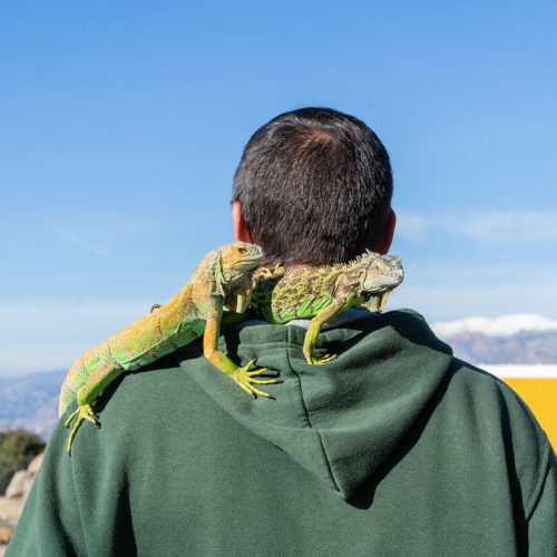 camapamento-semana-santa-madrid-02