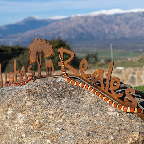 camapamento-semana-santa-madrid-06