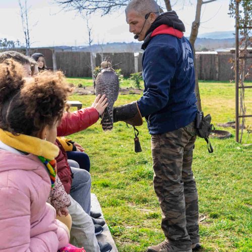 camapamento-semana-santa-madrid-11