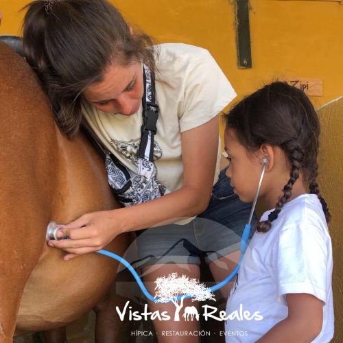 campamento sierra de madrid 5