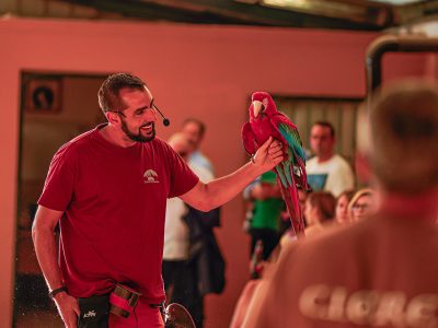 eventos-empresas-vistas-reales-sierra-norte-7