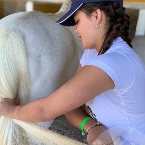 campamento sierra de madrid